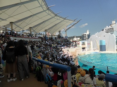 須磨海浜水族園のイルカライブ館