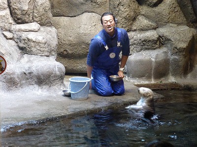 ラッコ 須磨 水族館