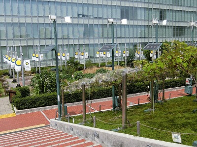 ノースゲートビルディング・14階天空の農園