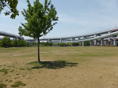 みなとのもり公園を囲む阪神高速3号線とポートライナーとハーバーハイウェイ