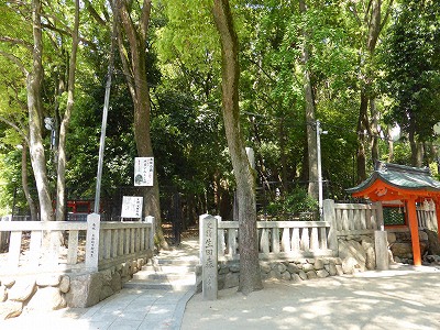 生田神社裏の生田の森