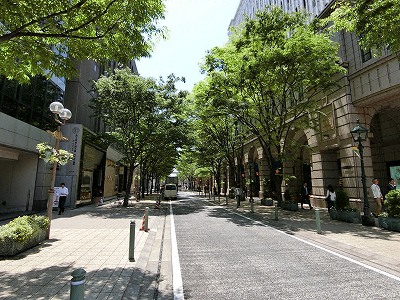 神戸旧居留地の明石町筋（大丸神戸店東側）の並木道