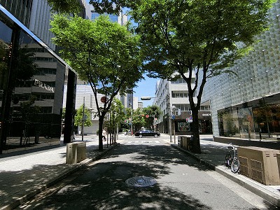 ブランドショップと街路樹のある神戸旧居留地