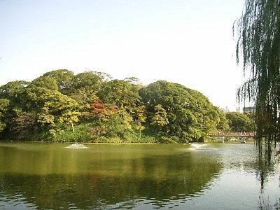 茶臼山と河底池