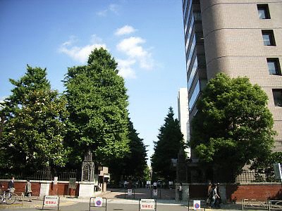 青山学院大学