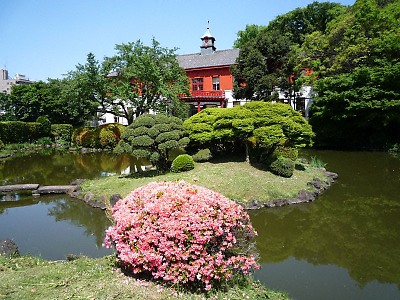 日本庭園の池