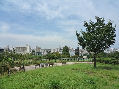 西郷山公園芝生広場