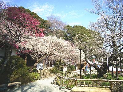 百草 園 京王