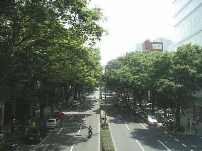 表参道