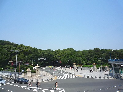 明治神宮の森
