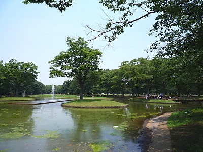 代々木公園