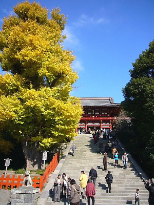 鶴岡八幡宮の紅葉