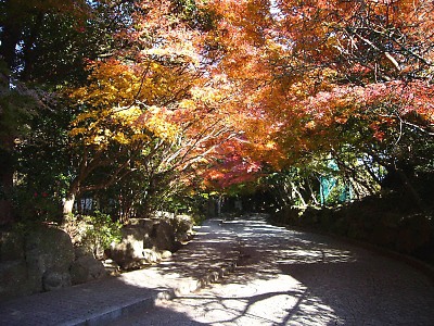 鎌倉文学館の紅葉