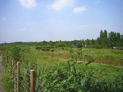 秋ヶ瀬公園