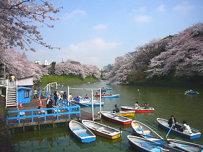 千鳥ヶ淵のボート乗り場