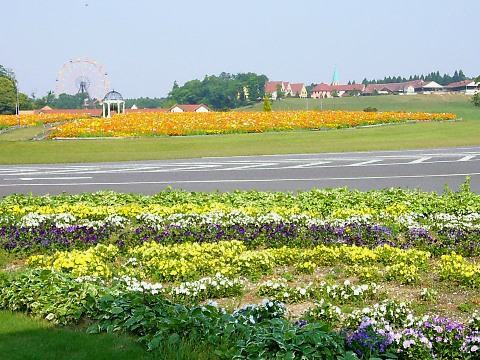 東京ドイツ村