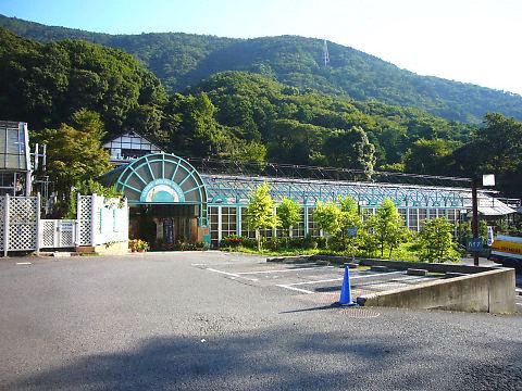 箱根ベゴニア園