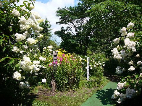 軽井沢町植物園